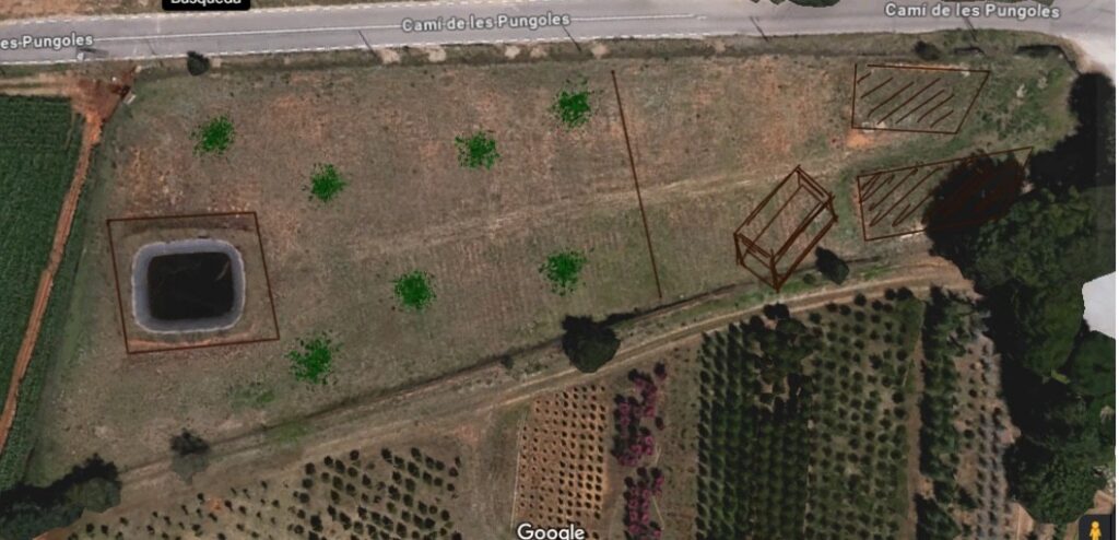plano centro canino